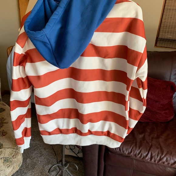 Fitted hoodie, color block used gorgeously. - Picture 2 of 5